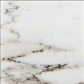 Marble Countertops Arabescato Corchia Sample